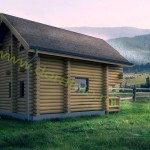 proiect casa din busteni 5 - 3