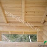 cabana din busteni floare de colt 9