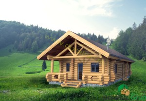 proiect casa din busteni 8 - 2