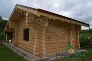 Cabana de gradina Negresti 2