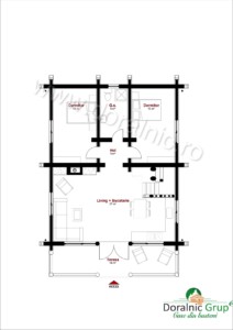 Proiect Doralnic 17 - 12