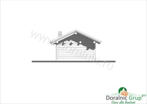 Proiect Doralnic 20 - 5